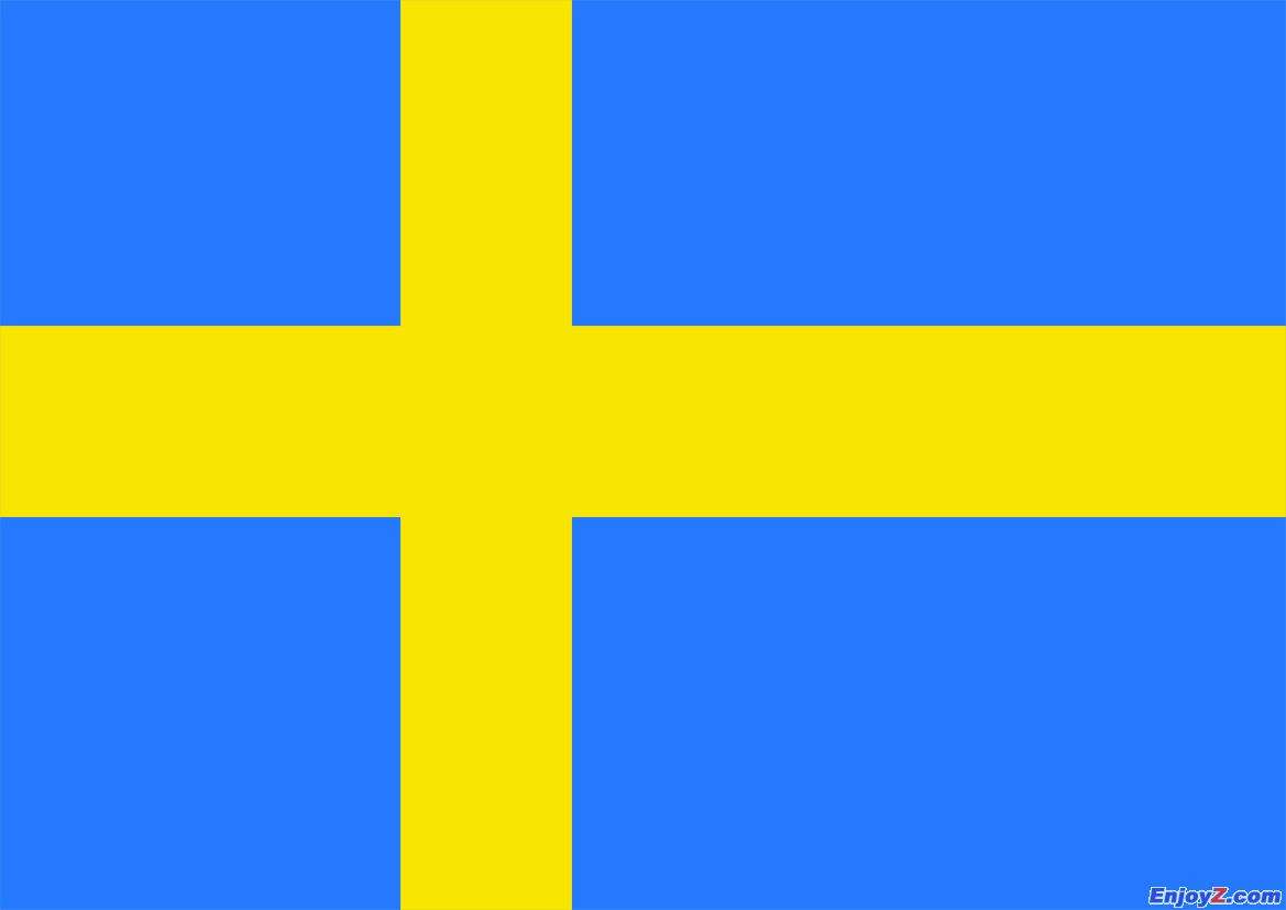 We helped a Swedish customer