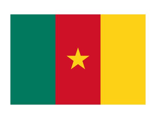 We helped a Cameroon client draft a regional exclusive agency agreement.